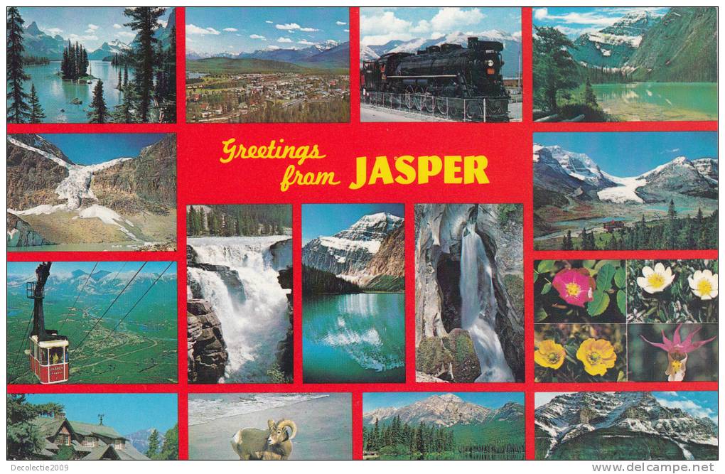 B33073 Jasper Multi Views Used Good Shape - Jasper