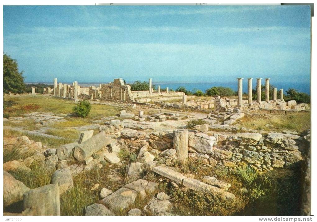 Cyprus, The Temple Of Apollo Hylates, Unused Postcard [P6763] - Chipre