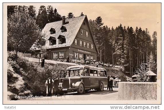 Schwarzenbach-Talsperre - Animée - Autocar - CPSM 9 X 14 (Recto & Verso) - Autres & Non Classés