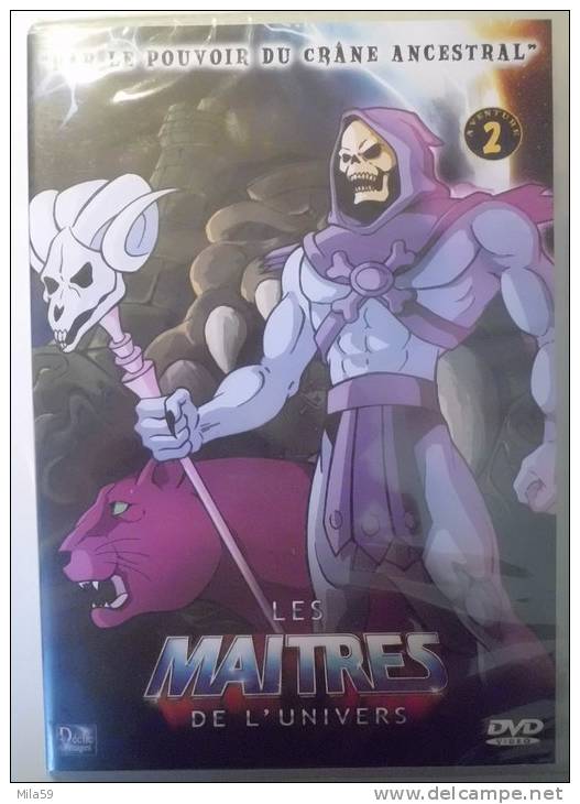 DVD. Les Maîtres De L´Univers. - Cartoons