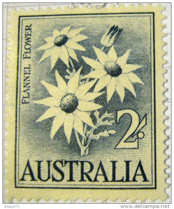 Australia 1959 Flannel Flower 2s - Mint - Ongebruikt