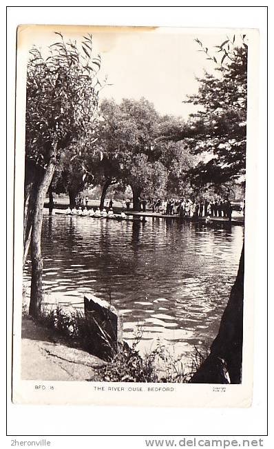 CPSM - BEDFORD - The River Ouse - Aviron Race - Bedford