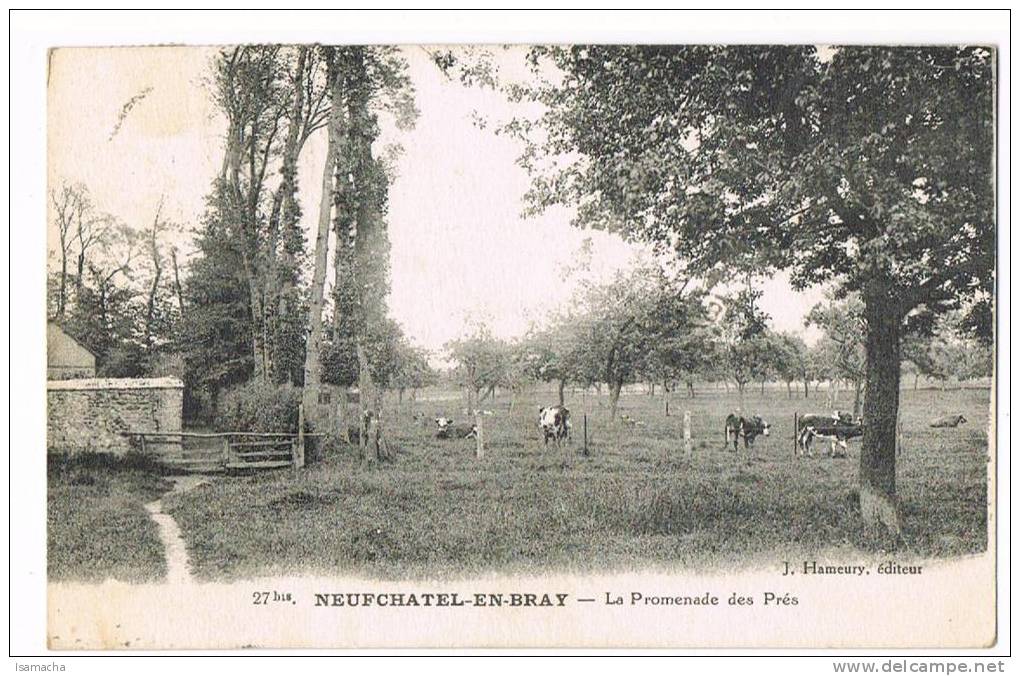 Neufchatel En Bray - Neufchâtel En Bray