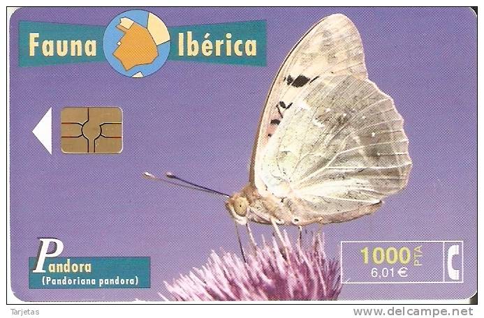 B-082/a TARJETA DE ESPAÑA DE UNA MARIPOSA PANDORA CHIP ROJO (BUTTERFLY) - Emisiones Básicas