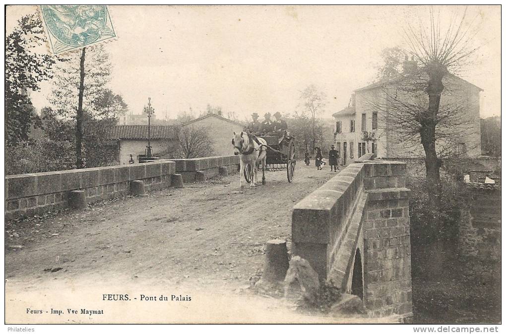 FLEURS  PONT DU PALAIS 1905 - Feurs