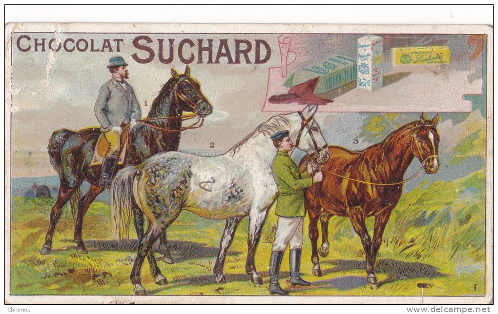 Chromo SUCHARD, Image 88 / L, Cheval - Suchard