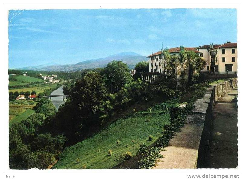 Cpsm 64 CAMBO LES BAINS Panorama Sur La Nive Vu Des Terrasses De L'eglise - Cambo-les-Bains