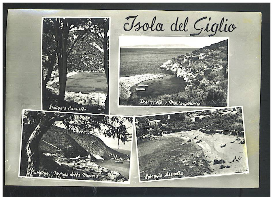 ISOLA DEL GIGLIO Saluti Con 4 Vedute Cartolina Viaggiata 1959 - Altri & Non Classificati