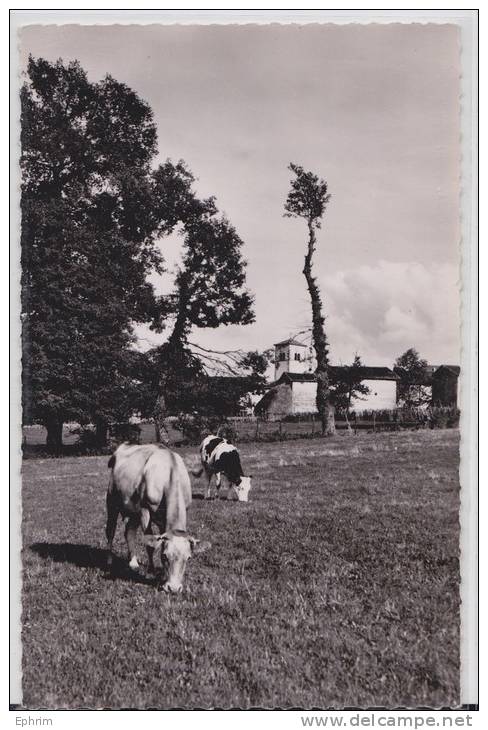 DIEMOZ - Vue Sur L'Eglise 1963 - Vaches - Diémoz