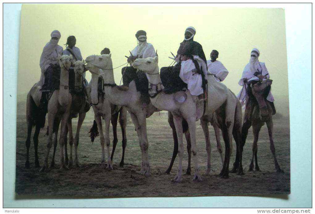 Couleurs D´afrique - Avant Le Départ De La Caravane - Chameaux - Non Classés