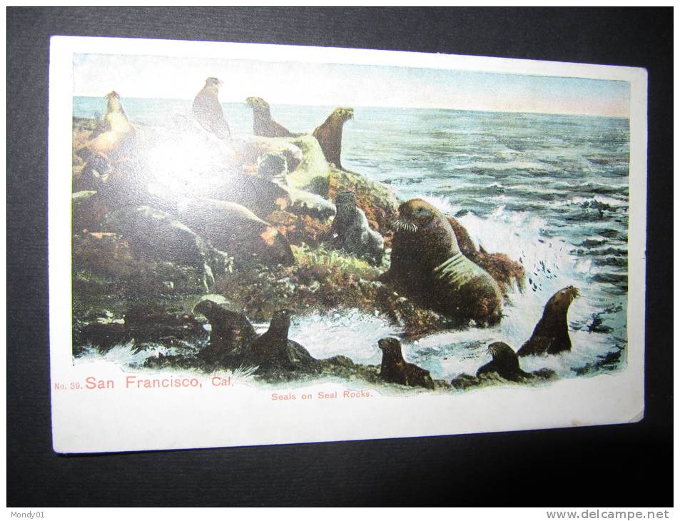 6-120 Lion De Mer Otarie San Francisco Polar Animal Sea Polaire No TAAF Seal Rock - Lions