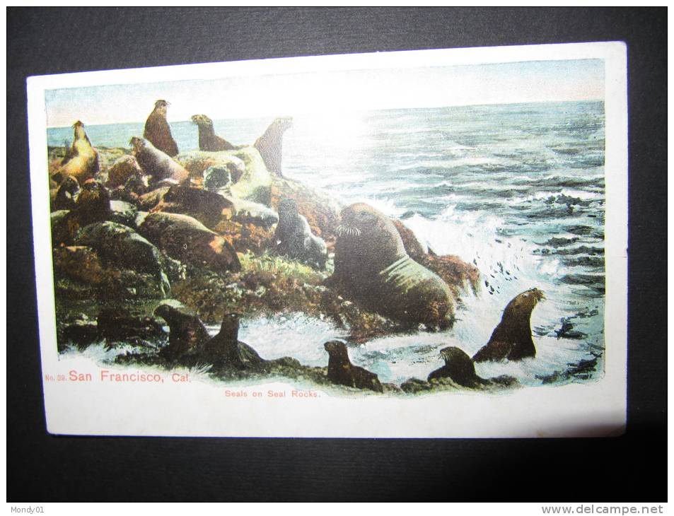 6-120 Lion De Mer Otarie San Francisco Polar Animal Sea Polaire No TAAF Seal Rock - Lions