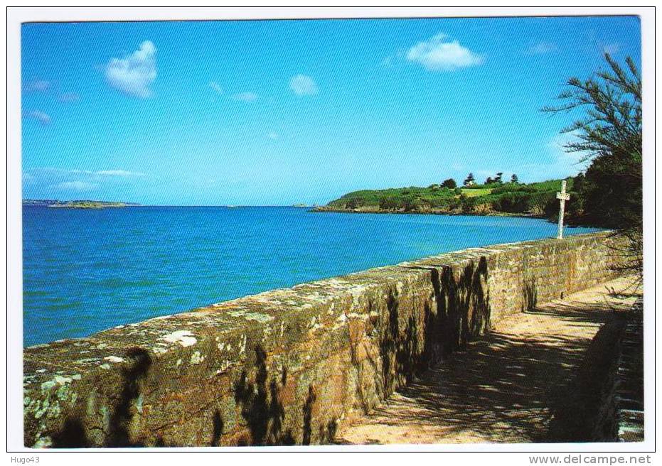 SAINT JACUT DE LA MER - LA DIGUE - Saint-Jacut-de-la-Mer