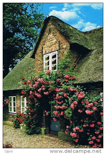 Nordsee Insel Fohr  Friesenhaus - Föhr