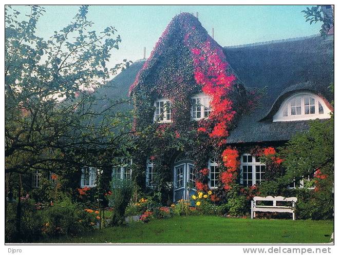 Sylt   Friesenhauser - Sylt