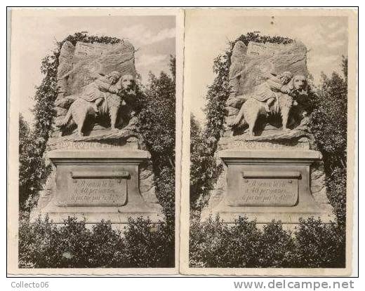 Lot Carte Cimetière Des Chiens à Asnières 1949 - Arnières