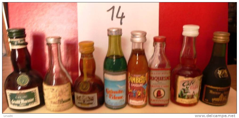 LOT DE 8 MIGNONNETTES- MINI BOTTLES- CERTAINES SONT TRES ANCIENNES- SÉLECTION : BOISSONS DIGESTIVES - Mignonnettes