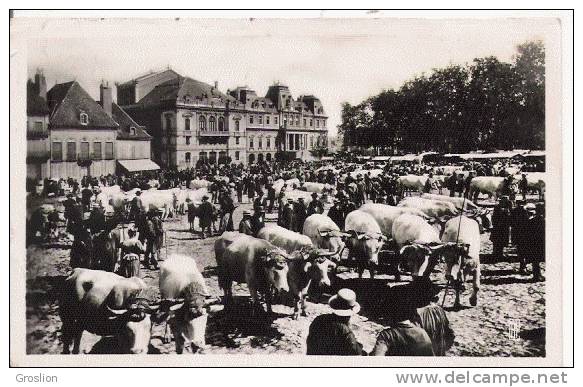 AUTUN 127 LA PLACE DU CHAMP DE MARS UN JOUR DE FOIRE (AUX BOEUFS) 1943 - Autun