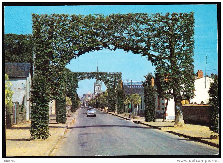 Luçon - Arc De Triomphe De Verdure - Rue Du Général De Gaulle - Lucon