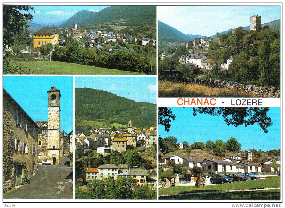 Carte Postale 48. Chanac  Trés Beau Plan - Chanac