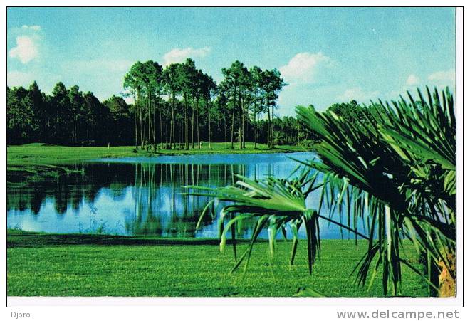 Palm Course  Walt Disney  World Golf Club - Autres & Non Classés