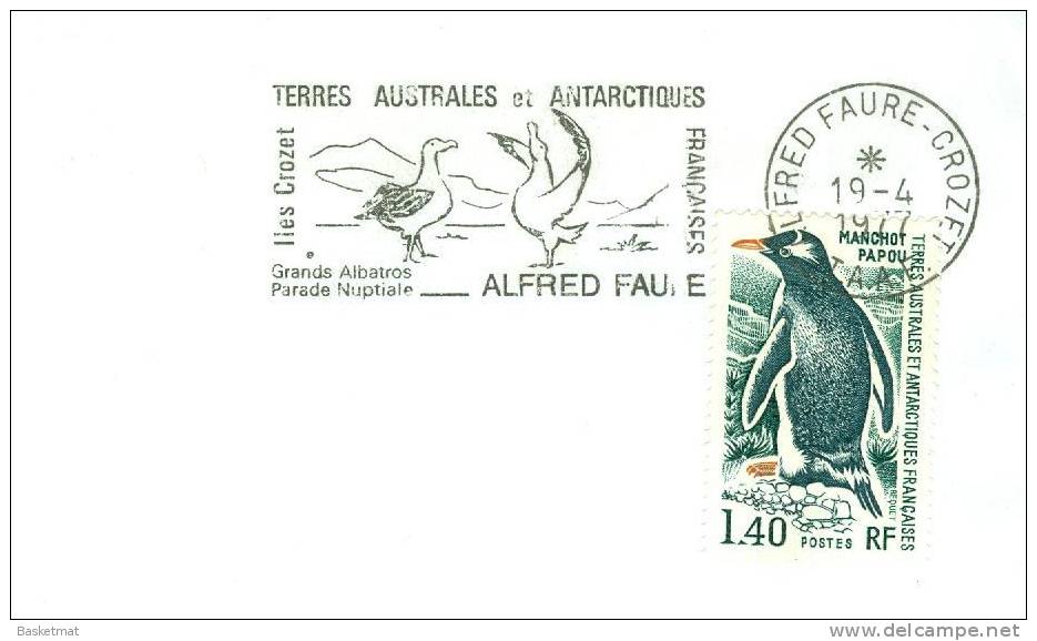 TAAF ENV ALFRED FAURE  19/4/1977 MANCHOT PAPOU FLAMME ALBATROS  TIMBRE N°  60 - Lettres & Documents