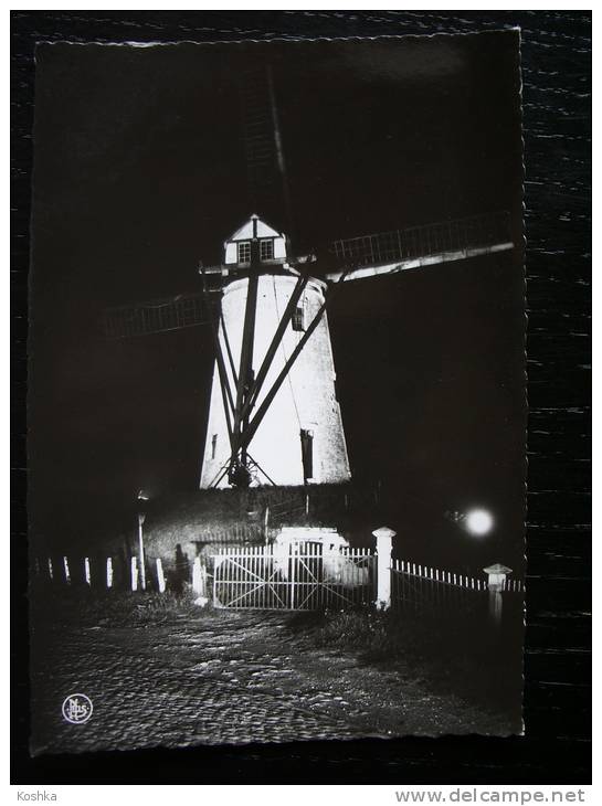 DAMME - De Molen Verlicht - Le Moulin Illuminé - Mill - Niet  Verzonden - Lot 96 - Damme