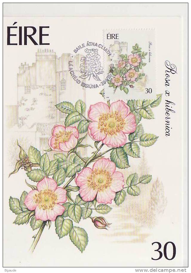 IRLANDE CARTE MAXIMUM NUM YVERT  733  FLORE DES JARDINS - Cartes-maximum