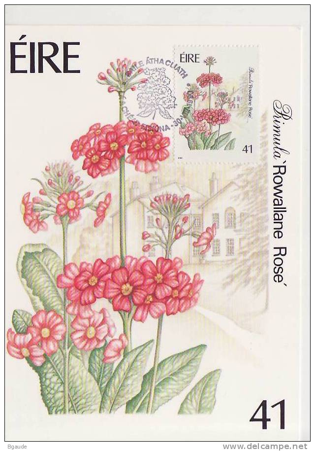 IRLANDE CARTE MAXIMUM NUM YVERT  734  FLORE DES JARDINS - Cartes-maximum