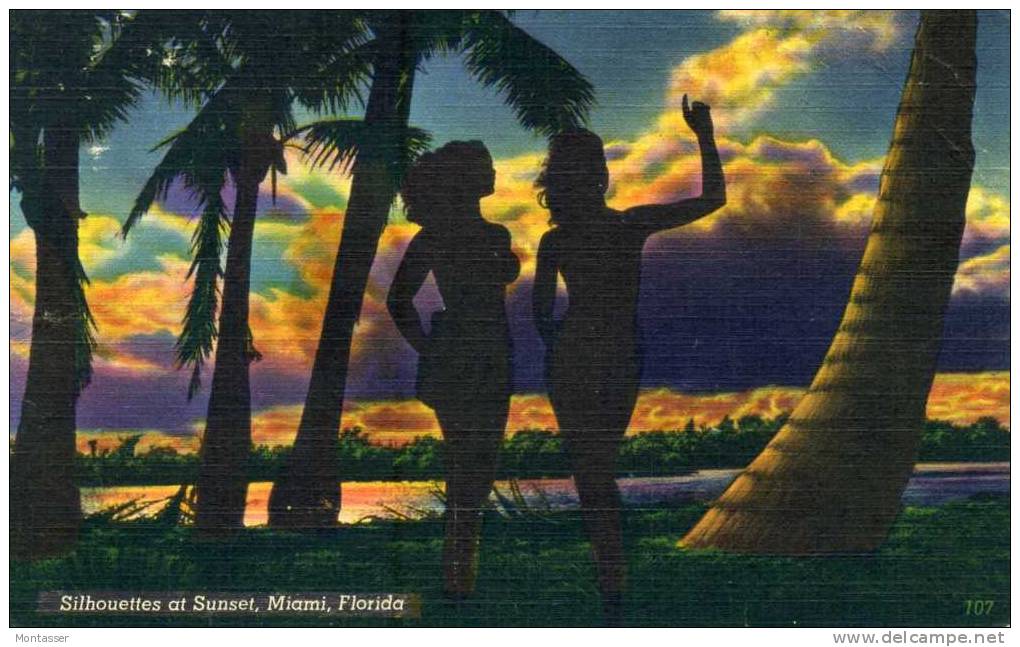 MIAMI. Silhouettes At Sunset. Posted For TRIESTE 1953. - Miami