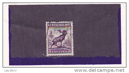 Newfoundland - Canada - Caribou - 1908-1947