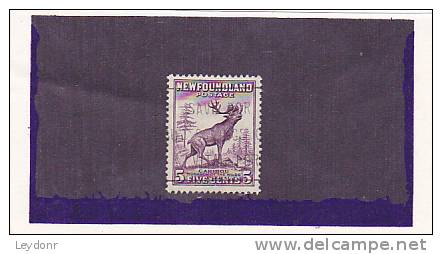 Newfoundland - Canada - Caribou - 1908-1947