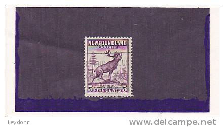 Newfoundland - Canada - Caribou - 1908-1947