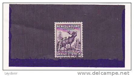 Newfoundland - Canada - Caribou - 1908-1947