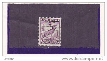 Newfoundland - Canada - Caribou - 1908-1947