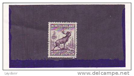 Newfoundland - Canada - Caribou - 1908-1947