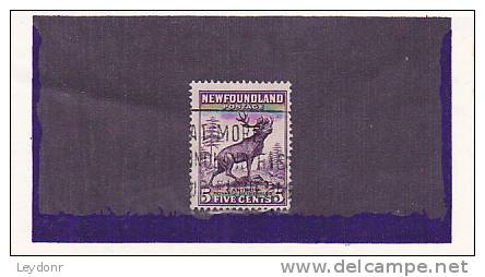 Newfoundland - Canada - Caribou - 1908-1947