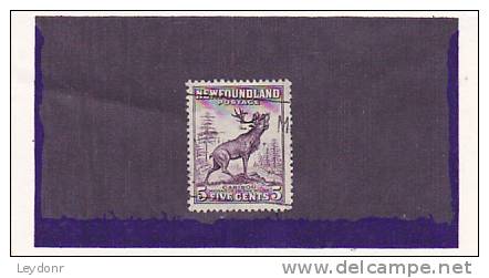 Newfoundland - Canada - Caribou - 1908-1947