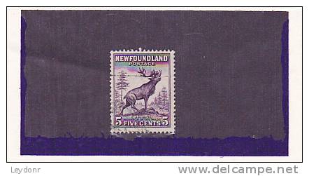 Newfoundland - Canada - Caribou - 1908-1947