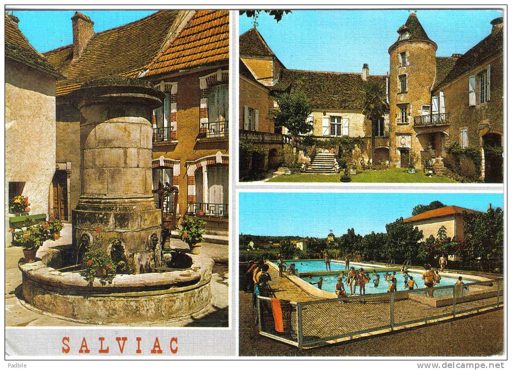 Carte Postale 46. Salviac Fontaine  Piscine Chateau  Trés Beau Plan - Salviac