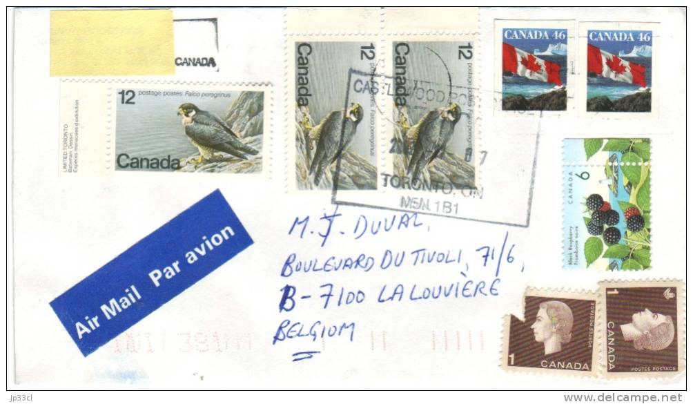 Bel Affranchissement  De 8 Timbres (faucon, Framboise, Raspberry) Sur Lettre De Castlewood, Toronto, Vers La Belgique - Covers & Documents