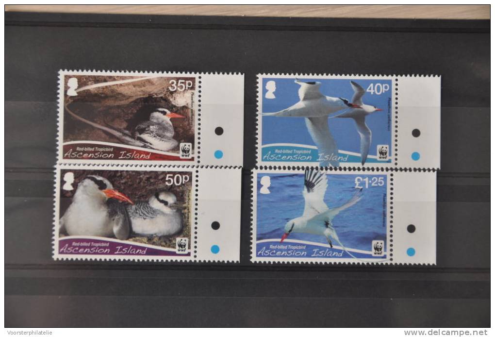 C 177 ++ WWF ASCENSION ISLANDS BIRDS OISEAU VOGELS SEAGAL MNH ** - Ascensión