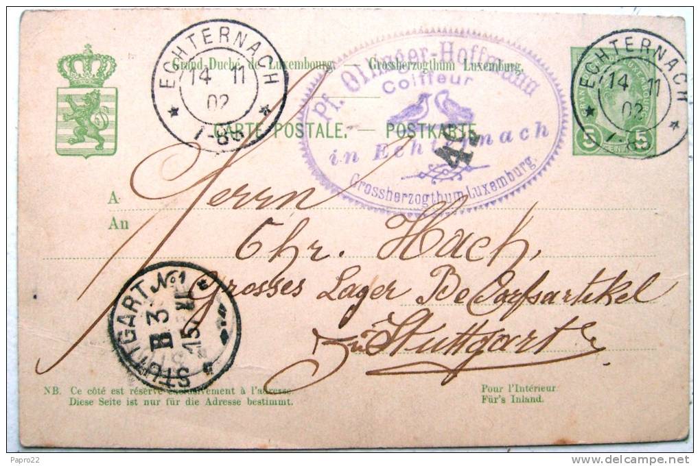 Luxembourg Entier Postal 1902 Pour Allemagne - Ganzsachen