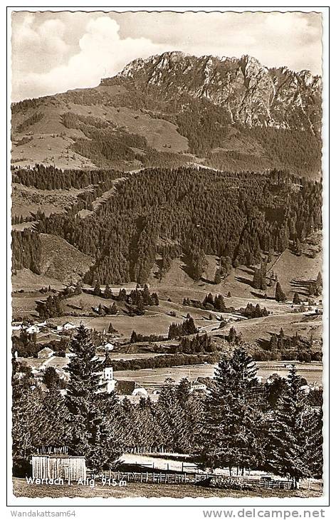 AK Höhenkurort Wertach I. Allg. 915 M Mit Sorgschrofen 1612 M 18.-7. 66 -- 8 8965 WERTACH Allgäu Luftkurort Nach Steinf - Mittelberg