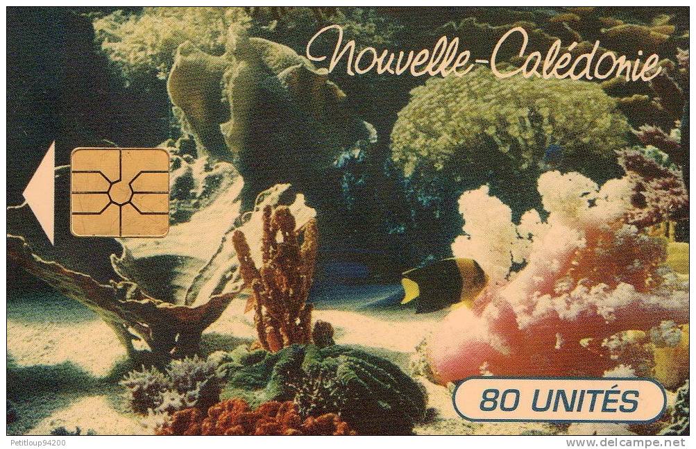 TELECARTE  NOUVELLE-CALEDONIE  80 Unités  Evasion Sous-Marine  Aquarium - New Caledonia