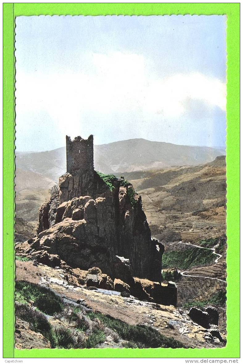 RUINES DE ROCHEBONNE / Carte écrite En 1956 - Saint Martin De Valamas