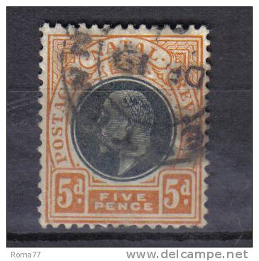 AP1322 - NATAL 1902,  Yvert  N. 63 . Fil CA - Natal (1857-1909)