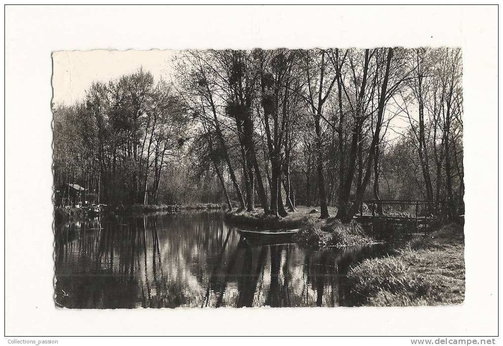 Cp, 91, Vert-le-Petit, Sous-Bois Sur L'Essonne, Voyagée 1954 - Vert-le-Petit