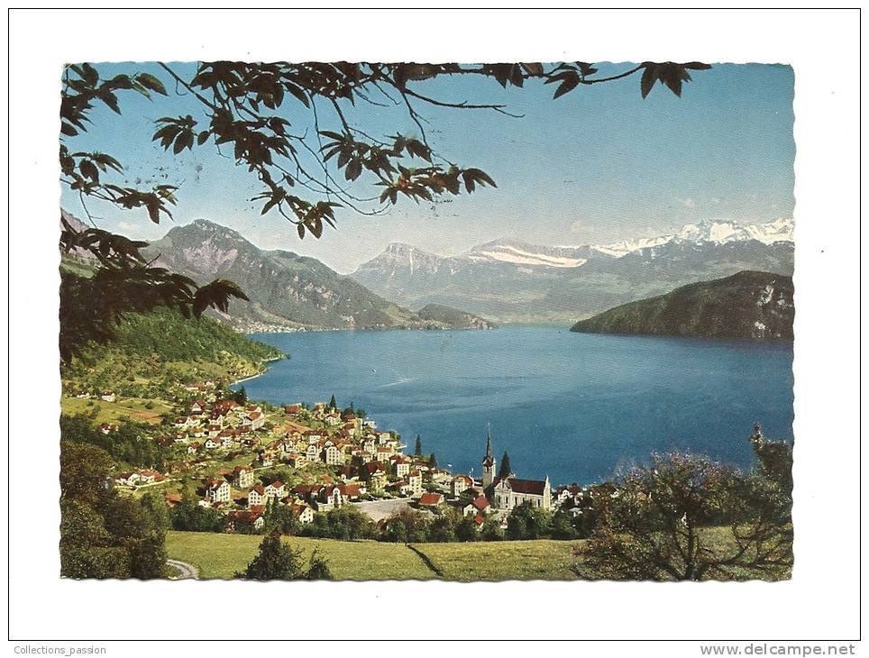 Cp, Suisse, Weggis Und Die Alpen, Voyagée 1969 - Weggis