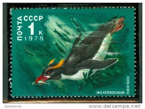 URSS MANCHOT EN PLONGEE - Penguins